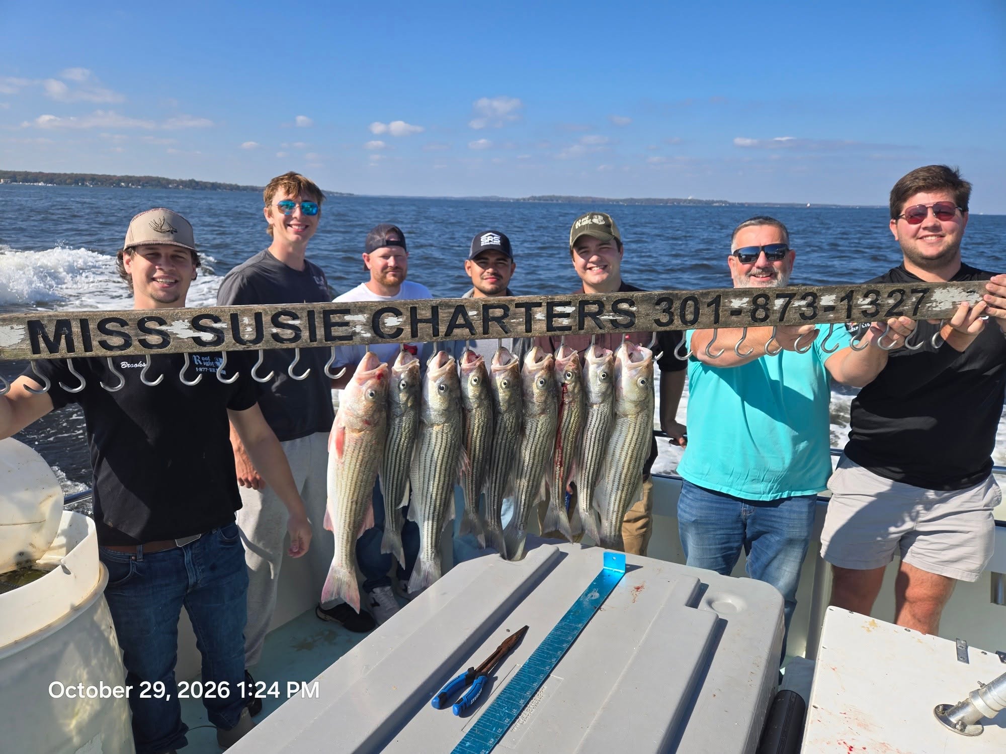 Chesapeake Bay Rockfish Charters Report: Over-Slots & 225 Perch 7 Light Tackle Chesapeake Bay Charter Fishing for Rockfish aka Striped Bass