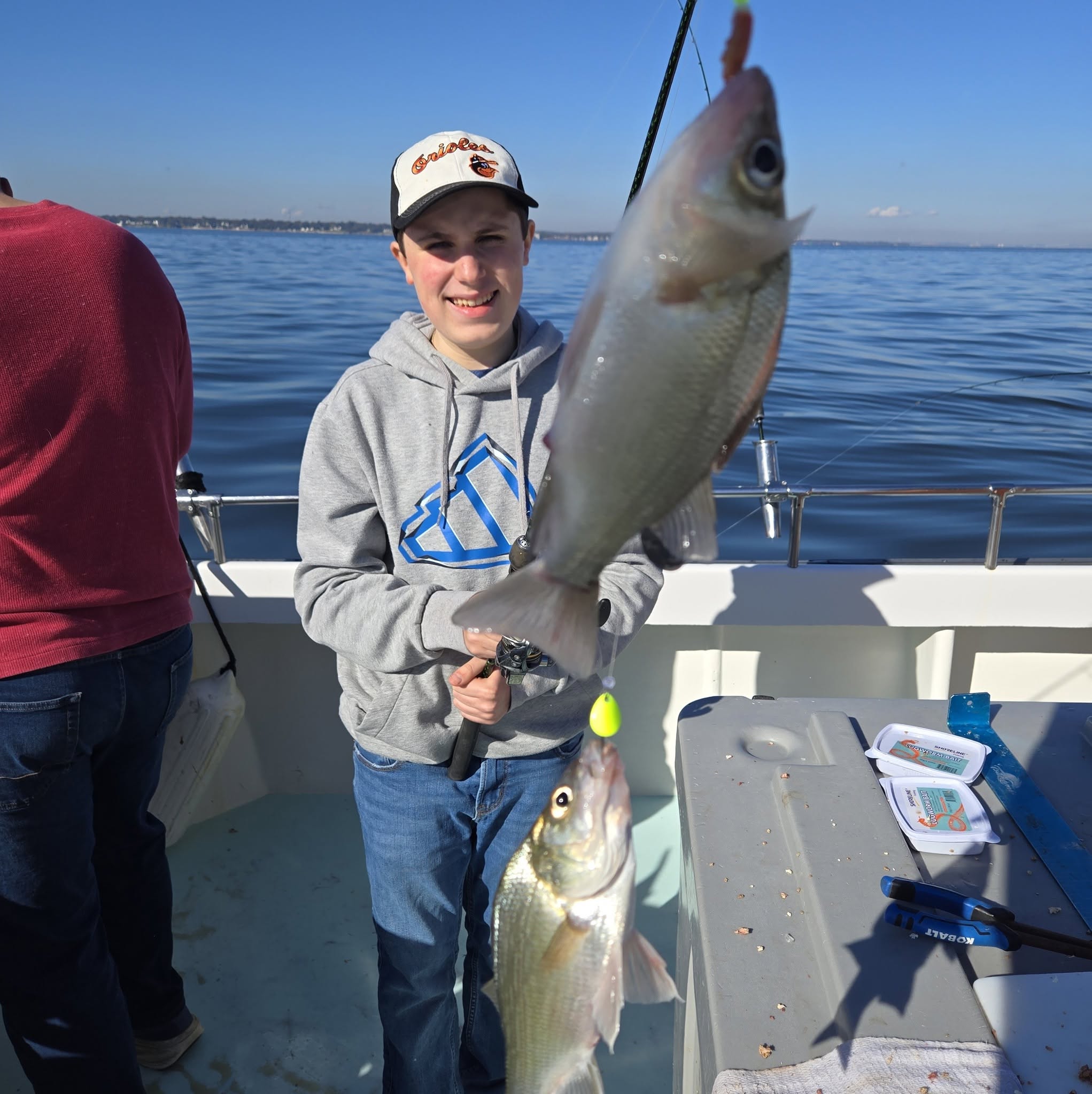 Chesapeake Bay Rockfish Charters Report: Over-Slots & 225 Perch 9 Chesapeake Bay Charter Fishing for Rockfish aka Striped Bass & White Perch