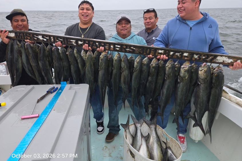 Chesapeake Bay Charter Fishing for Blue Fish